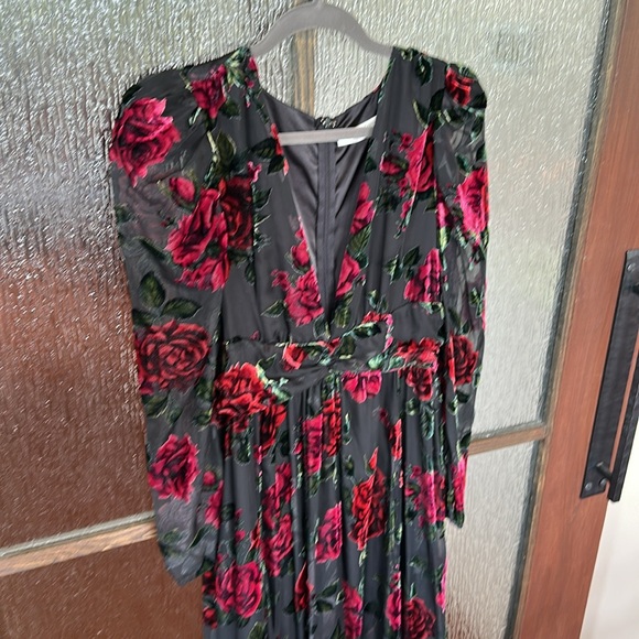 Rachel Parcell Burnout Velvet Dress size 4. - Picture 6 of 13